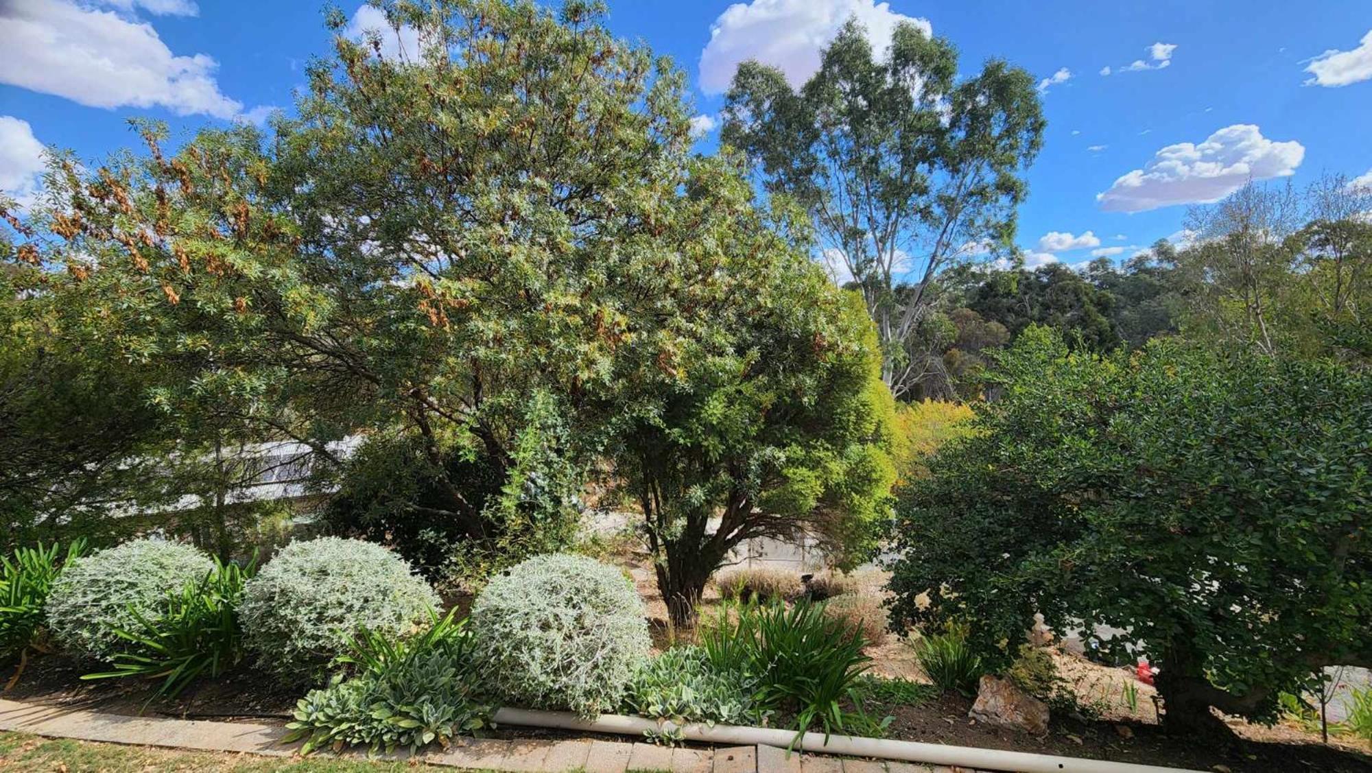 Riesling Trail & Clare Valley Cottages Oda fotoğraf